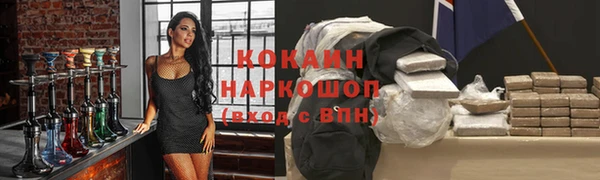 PSILOCYBIN Ельня