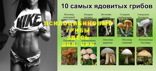 каннабис Алексин