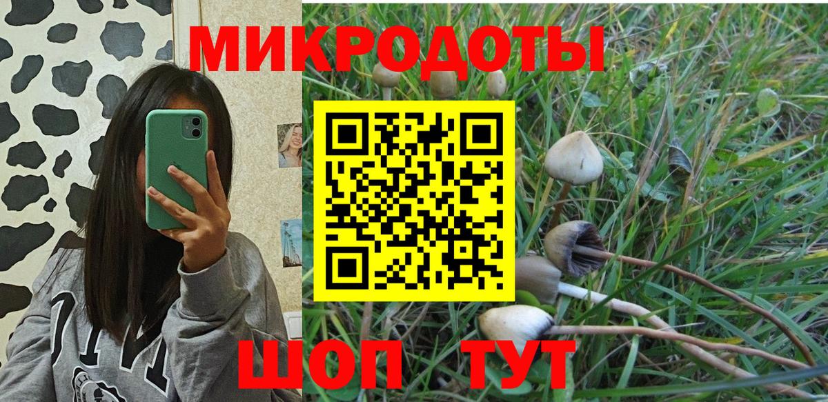 Галлюциногенные грибы прущие грибы  Вход с VPN  Балашов  Псилоцибиновые грибы GOLDEN TEACHER 